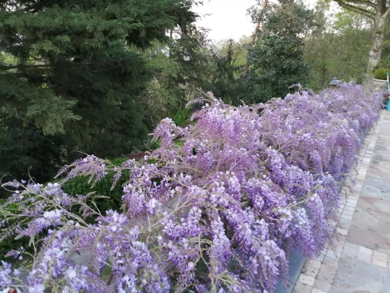 CHAMBRE D'HÔTE POUR DES VACANCES FAMILIALES AVEC ENFANTS À SAUMUR, Saumur, Chambres d'hôtes La Tour de Bellevue
